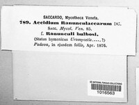 Image Associated With the Occurence